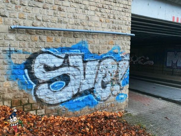 SVE5.jpg