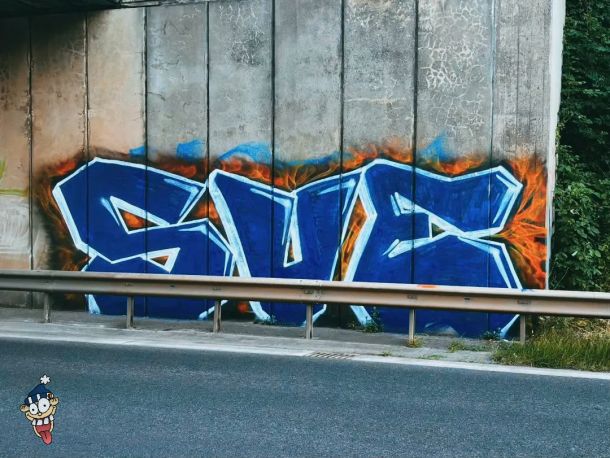 SVE.jpg